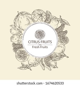 Background with citrus fruitst: lemon, pomelo, tangerine and kumquat. Vector hand drawn illustrationBackground with citrus fruitst: lemon, pomelo, tangerine and kumquat. Vector hand drawn illustration