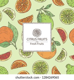 Background with citrus fruitst: orange, lime, grapefruit and bergamot. Vector hand drawn illustration.