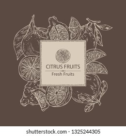 Background with citrus fruitst: orange, lime, grapefruit and bergamot. Vector hand drawn illustration.