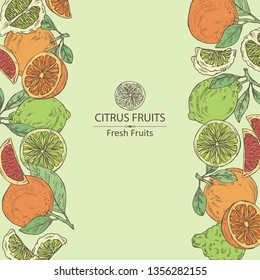 Background with citrus fruitst: orange, lime, grapefruit and bergamot. Vector hand drawn illustration.