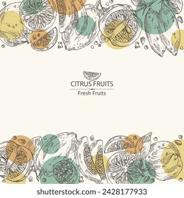 Background with  of citrus fruitst: yuzu, citron, grapefruit and bitter orange. Vector hand drawn illustration.