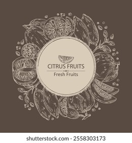 Background with  of citrus fruitst: yuzu, citron, grapefruit and bitter orange. Vector hand drawn illustration.