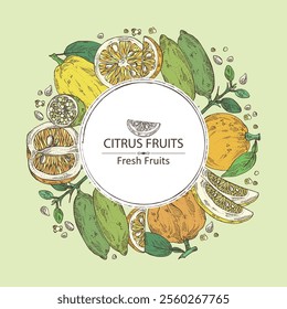 Background with  of citrus fruitst: yuzu, citron, grapefruit and bitter orange. Vector hand drawn illustration.