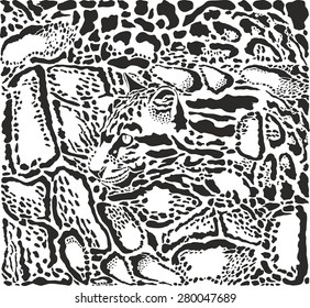Background with Clouded leopard skins and head