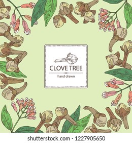 Background with clove tree: buds and leaves. Vector hand drawn illustration.
