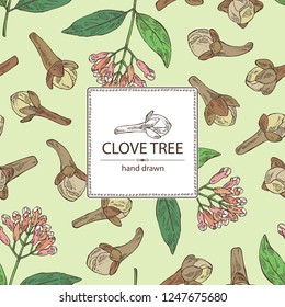 Background with clove tree: buds and leaves. Vector hand drawn illustration