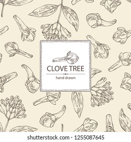 Background with clove tree: buds and leaves. Vector hand drawn illustration