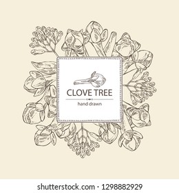 Background with clove tree: buds and leaves. Vector hand drawn illustration