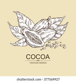 Background with cocoa , hand drawn