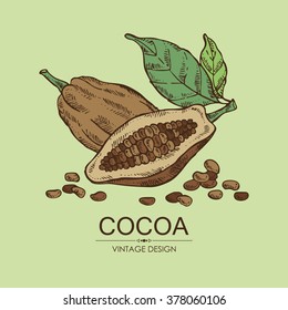 Background with cocoa , hand drawn
