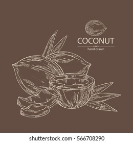 Background with coconut. hand drawn