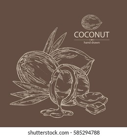 Background with coconut. hand drawn.