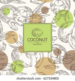 Background with coconut. hand drawn