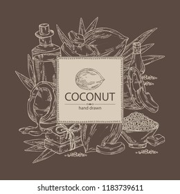 Background with coconut, coconut oil, soap and bath salt . Cosmetic and medical plant. Vector hand drawn illustration. 