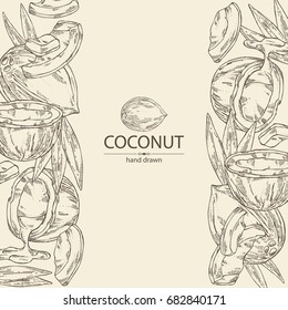 Background with coconut: pulp and leaves. Vector hand drawn illustration