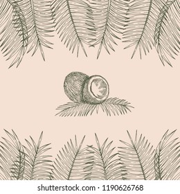 Background with coconutes and palm branches . Vector illustration. Hand drawing.