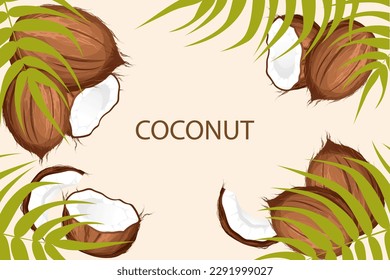 Background with coconuts and palm leaves.Coconut whole and in half.Vector illustration.