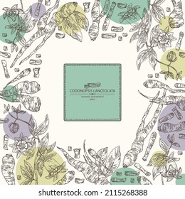 Background with codonopsis lanceolata: plant, flowers and codonopsis lanceolata roots. Cosmetic and medical plant. Vector hand drawn illustration