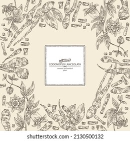Antecedentes con codonopsis lanceolata: raíces de plantas, flores y codonopsis lanceolata. Planta cosmética y médica. Ilustración dibujada a mano por el vector