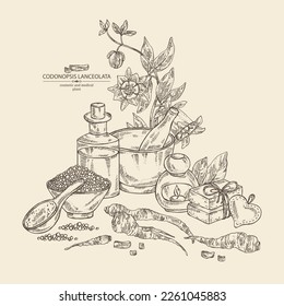 Background with codonopsis lanceolata: plant, flowers and codonopsis lanceolata roots. Oil, soap and bath salt . Cosmetics and medical plant. Vector hand drawn illustration