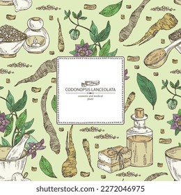 Antecedentes con codonopsis lanceolata: raíces de plantas, flores y codonopsis lanceolata. Aceite, jabón y sal de baño. Cosméticos y plantas médicas. Ilustración dibujada a mano por el vector