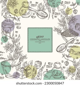 Background with codonopsis lanceolata: plant, flowers and codonopsis lanceolata roots. Oil, soap and bath salt . Cosmetics and medical plant. Vector hand drawn illustration