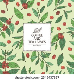 Fondo con café y té: planta de café, fruta de café, té verde, té de rama y hojas de té. Vector dibujado a mano ilustración.