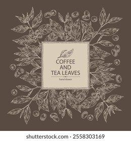 Background with coffee and tea: coffee plant, coffee fruit, green tea, branch tea and tea leaves. Vector hand drawn illustration.