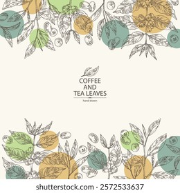 Background with coffee and tea: coffee plant, coffee fruit, green tea, branch tea and tea leaves. Vector hand drawn illustration.