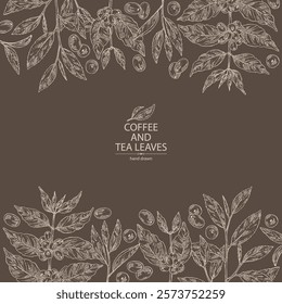 Background with coffee and tea: coffee plant, coffee fruit, green tea, branch tea and tea leaves. Vector hand drawn illustration.