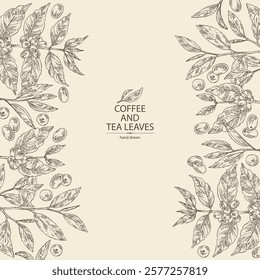 Background with coffee and tea: coffee plant, coffee fruit, green tea, branch tea and tea leaves. Vector hand drawn illustration.