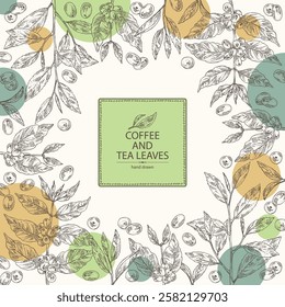 Background with coffee and tea: coffee plant, coffee fruit, green tea, branch tea and tea leaves. Vector hand drawn illustration.