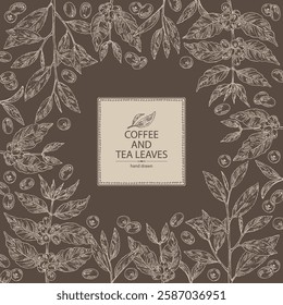 Background with coffee and tea: coffee plant, coffee fruit, green tea, branch tea and tea leaves. Vector hand drawn illustration.