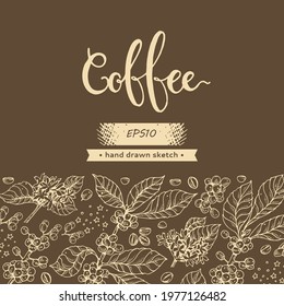 Background with coffee tree branches, coffee beans and lettering. Linear hand-drawn sketch, monochrome vector botanical illustration.