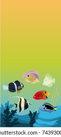 background with color fishes