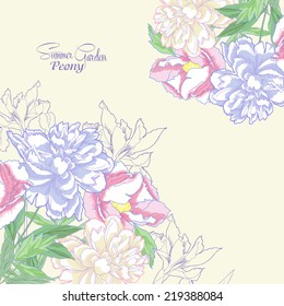Background with color peonies and irises