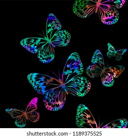 Background with colored beautiful butterflies