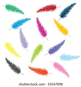 Background with colored feathers