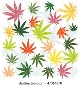 Antecedentes con hojas de marihuana coloreadas
