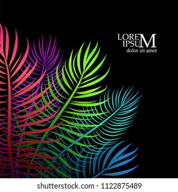 Background of colored palm leaves. Vector