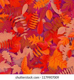 Background of colored wet autumnal maple leaves. EPS 10