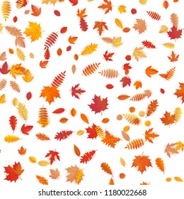 Background of colored wet autumnal maple leaves. EPS 10