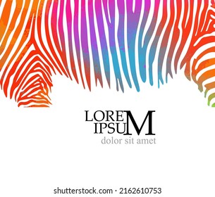 Background of colored zebra stripes. Background for text. Vector illustration