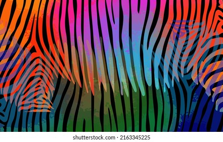 Background of colored zebra stripes. Background for text. Vector illustration