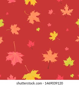 Background with colorful autumn foliage. Maple leaf.