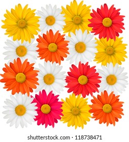 Background of colorful beautiful flowers. Vector illustration.