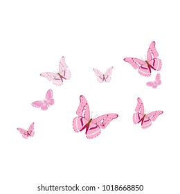Background with colorful butterflies. Vector.