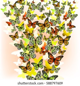 background with colorful butterflies. Vector