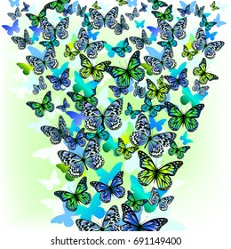 background with colorful butterflies. Vector