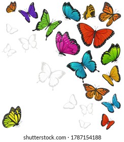 Background with colorful butterflies vector illustration